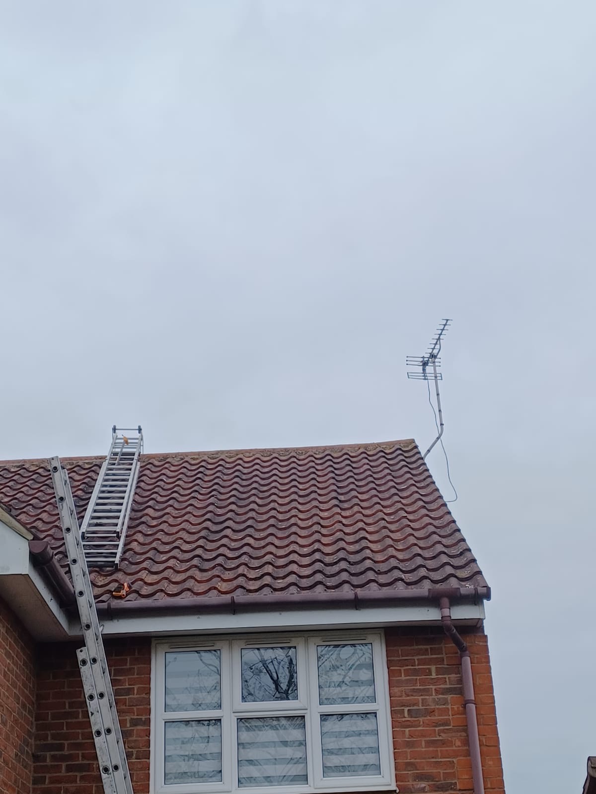 Roof Repairs